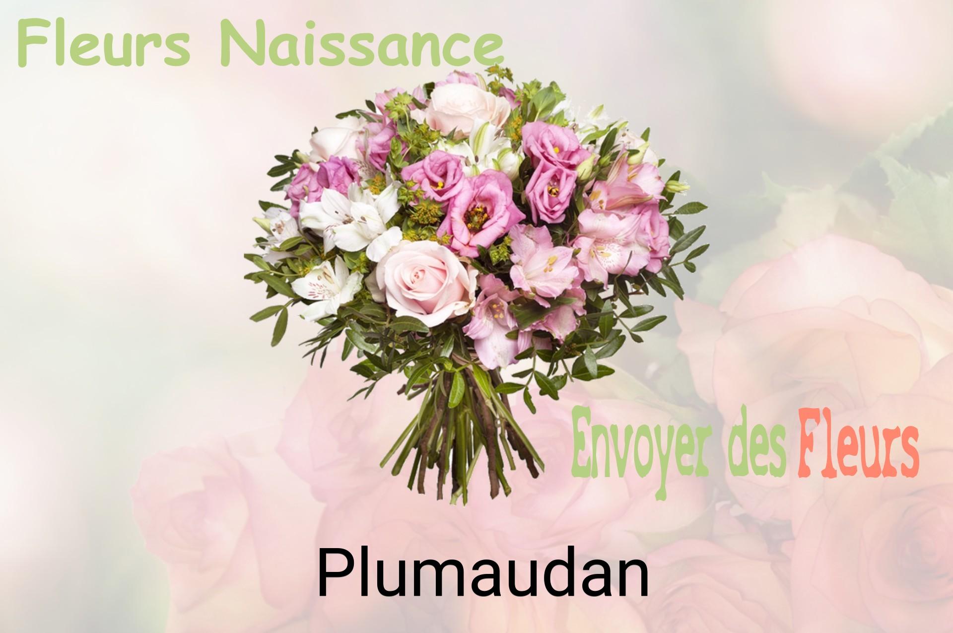 Bouquet de fleurs de naissance livré à Plumaudan